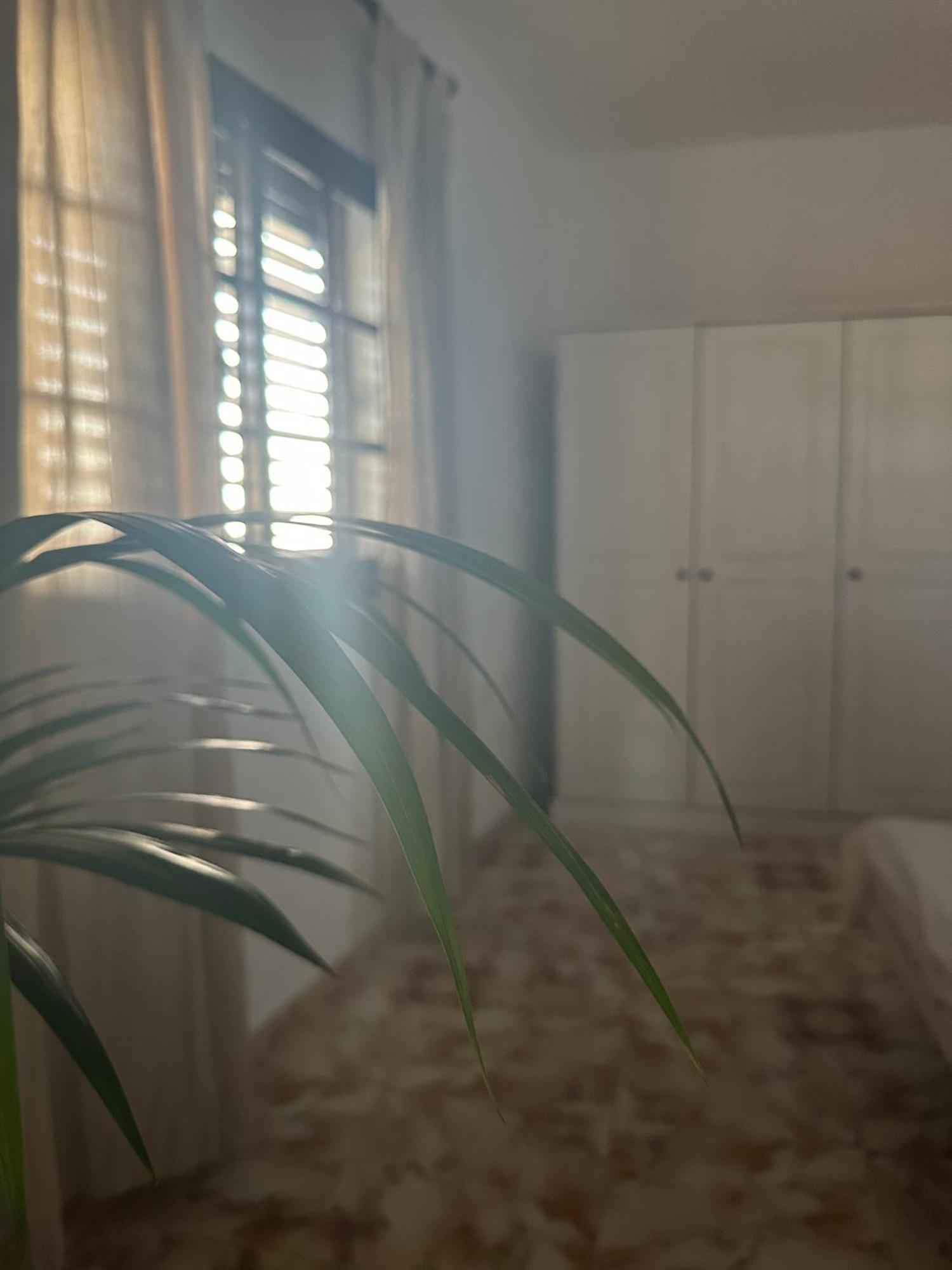 Apartamento Fortaleza Vallehermoso Exterior foto