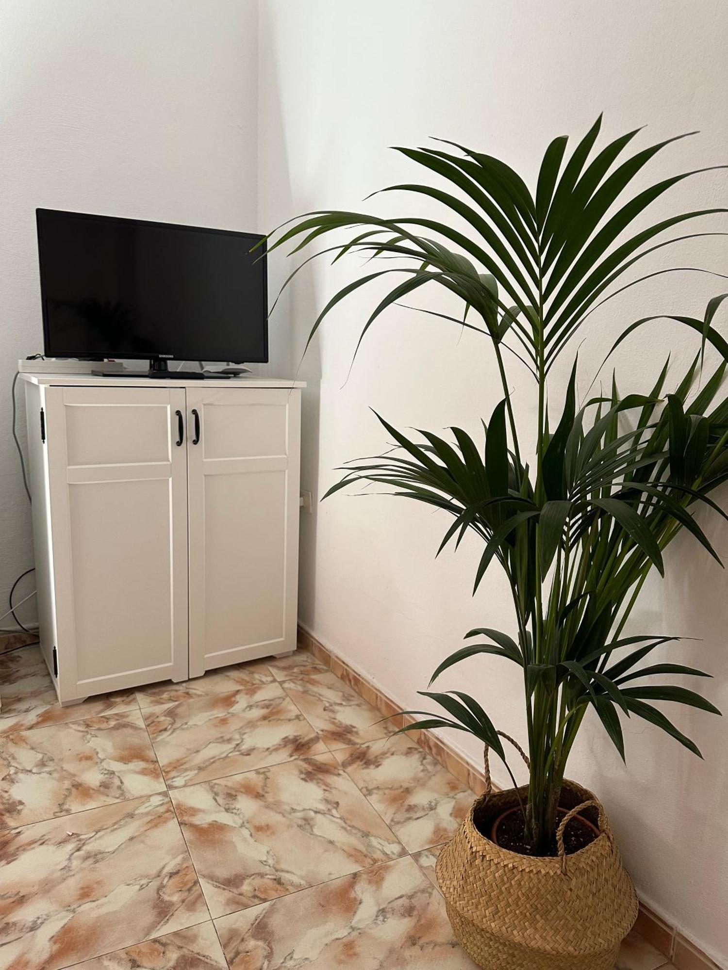 Apartamento Fortaleza Vallehermoso Exterior foto